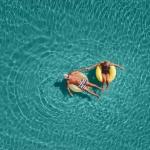 Two seniors float in a pool.